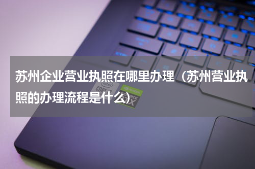 苏州企业营业执照在哪里办理（苏州营业执照的办理流程是什么）