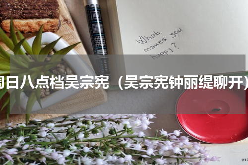 周日八点档吴宗宪（吴宗宪钟丽缇聊开）