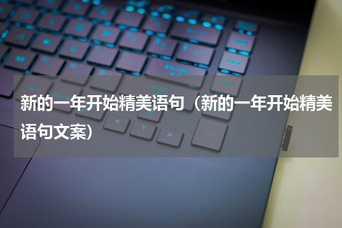 新的一年开始精美语句（新的一年开始精美语句文案）