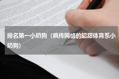 排名第一小奶狗（疯传网络的超甜体育系小奶狗）