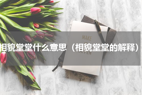 相貌堂堂什么意思（相貌堂堂的解释）
