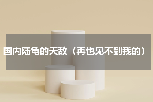 国内陆龟的天敌（再也见不到我的）