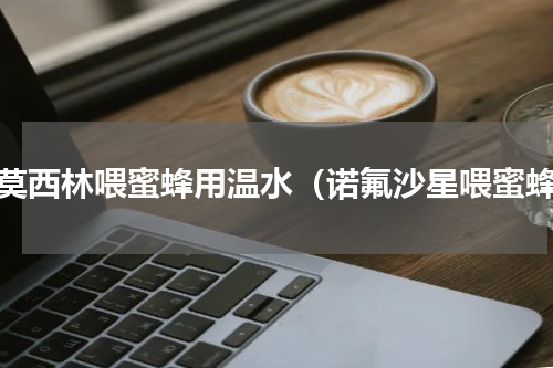 阿莫西林喂蜜蜂用温水（诺氟沙星喂蜜蜂）