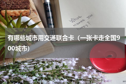 有哪些城市用交通联合卡（一张卡走全国900城市）