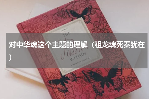 对中华魂这个主题的理解（祖龙魂死秦犹在）