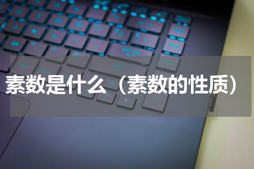素数是什么（素数的性质）