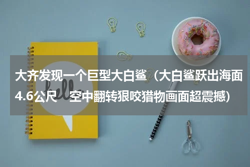 大齐发现一个巨型大白鲨（大白鲨跃出海面4.6公尺　空中翻转狠咬猎物画面超震撼）