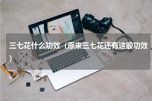 三七花什么功效（原来三七花还有这般功效）