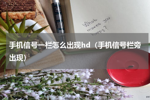 手机信号一栏怎么出现hd（手机信号栏旁出现）