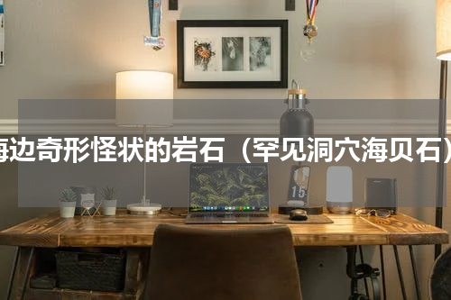 海边奇形怪状的岩石（罕见洞穴海贝石）