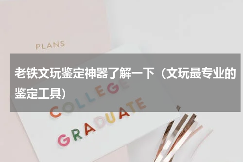 老铁文玩鉴定神器了解一下（文玩最专业的鉴定工具）