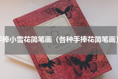 手捧小雪花简笔画（各种手捧花简笔画）