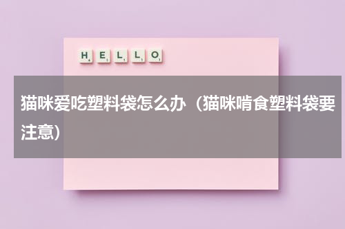 猫咪爱吃塑料袋怎么办（猫咪啃食塑料袋要注意）