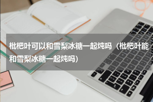 枇杷叶可以和雪梨冰糖一起炖吗（枇杷叶能和雪梨冰糖一起炖吗）