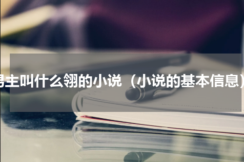男主叫什么翎的小说（小说的基本信息）
