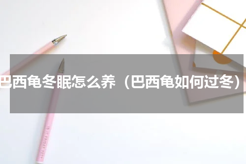 巴西龟冬眠怎么养（巴西龟如何过冬）