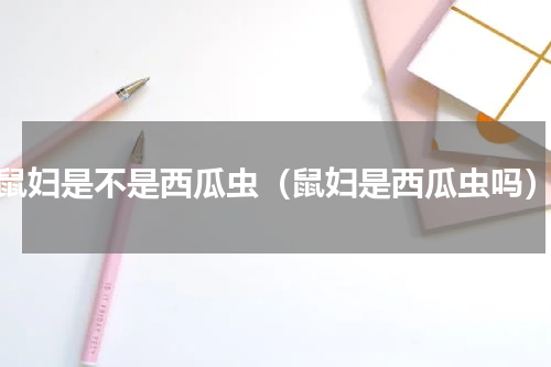 鼠妇是不是西瓜虫（鼠妇是西瓜虫吗）