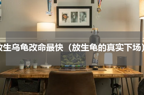 放生乌龟改命最快（放生龟的真实下场）
