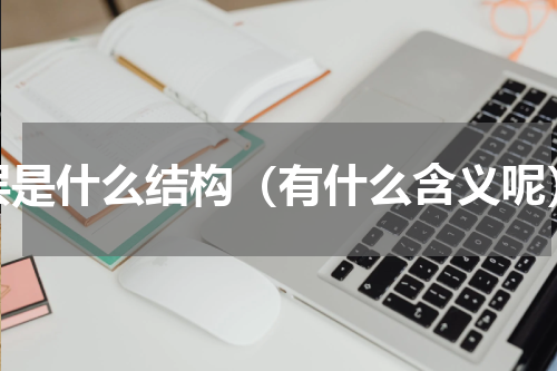 层是什么结构（有什么含义呢）