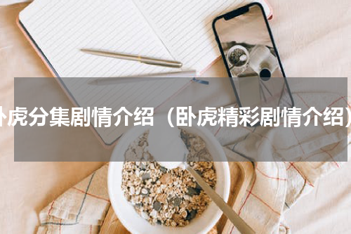卧虎分集剧情介绍（卧虎精彩剧情介绍）