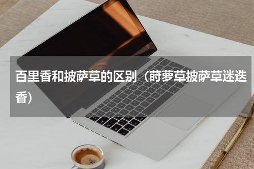 百里香和披萨草的区别（莳萝草披萨草迷迭香）