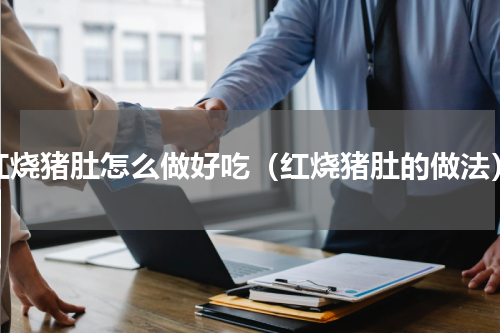 红烧猪肚怎么做好吃（红烧猪肚的做法）