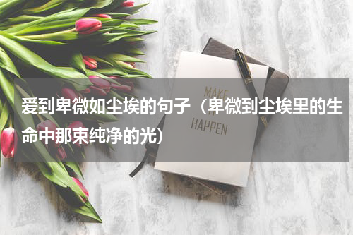 爱到卑微如尘埃的句子（卑微到尘埃里的生命中那束纯净的光）