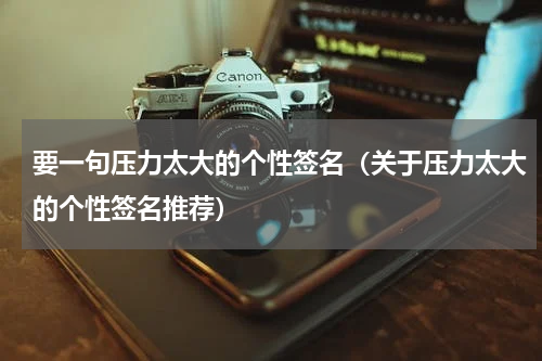 要一句压力太大的个性签名（关于压力太大的个性签名推荐）