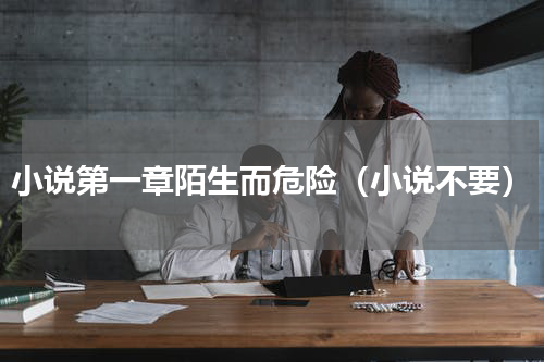 小说第一章陌生而危险（小说不要）
