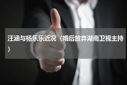 汪涵与杨乐乐近况（婚后放弃湖南卫视主持）