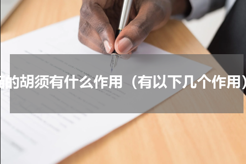 猫的胡须有什么作用（有以下几个作用）