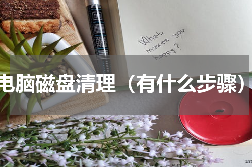电脑磁盘清理（有什么步骤）