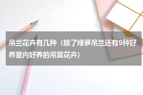 吊兰花卉有几种（除了绿萝吊兰还有9种好养室内好养的吊篮花卉）