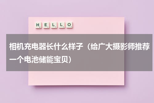 相机充电器长什么样子（给广大摄影师推荐一个电池储能宝贝）