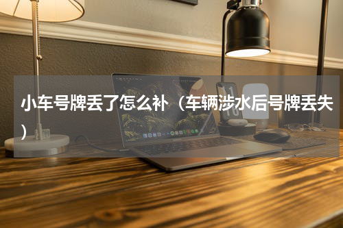 小车号牌丢了怎么补（车辆涉水后号牌丢失）
