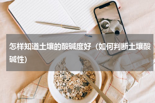 怎样知道土壤的酸碱度好（如何判断土壤酸碱性）