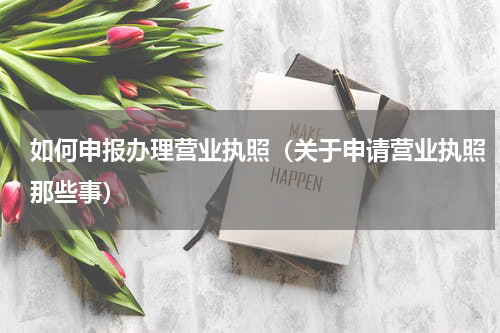 如何申报办理营业执照（关于申请营业执照那些事）