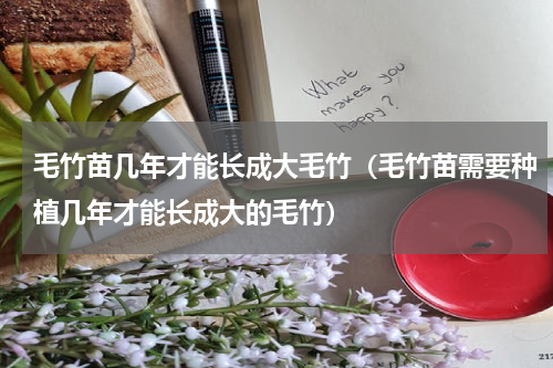 毛竹苗几年才能长成大毛竹（毛竹苗需要种植几年才能长成大的毛竹）
