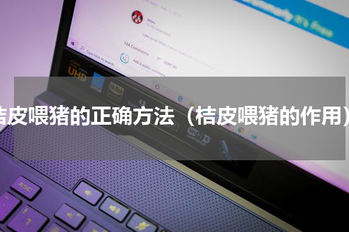 桔皮喂猪的正确方法（桔皮喂猪的作用）
