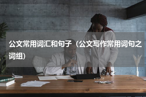 公文常用词汇和句子（公文写作常用词句之词组）