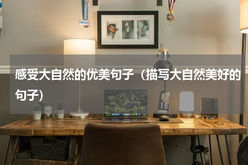 感受大自然的优美句子（描写大自然美好的句子）
