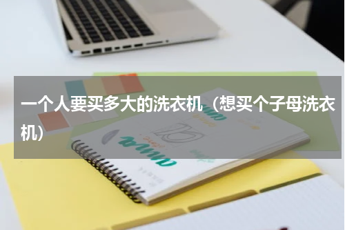 一个人要买多大的洗衣机（想买个子母洗衣机）