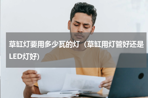 草缸灯要用多少瓦的灯（草缸用灯管好还是LED灯好）