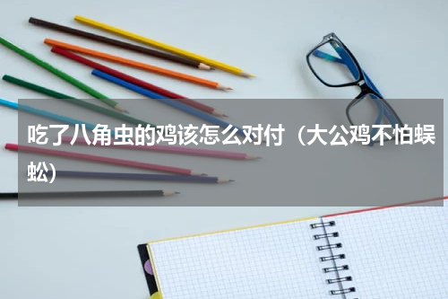 吃了八角虫的鸡该怎么对付（大公鸡不怕蜈蚣）
