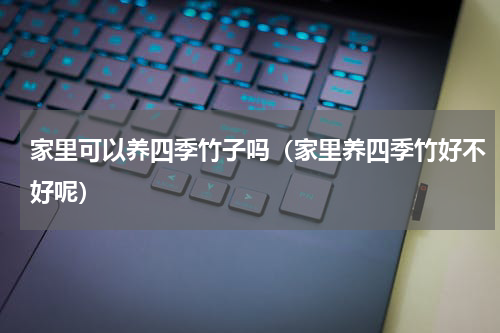 家里可以养四季竹子吗（家里养四季竹好不好呢）