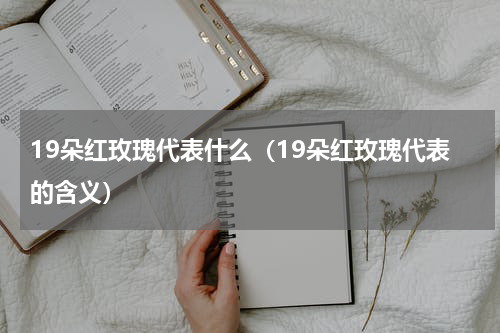19朵红玫瑰代表什么（19朵红玫瑰代表的含义）