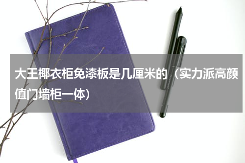 大王椰衣柜免漆板是几厘米的（实力派高颜值门墙柜一体）