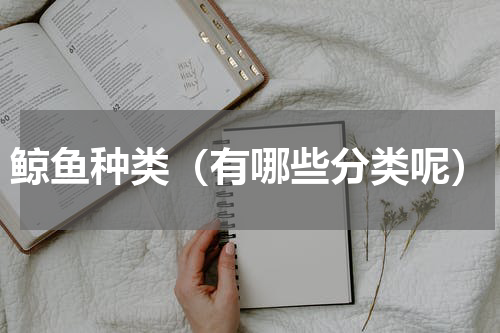 鲸鱼种类（有哪些分类呢）
