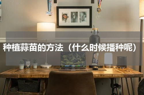 种植蒜苗的方法（什么时候播种呢）