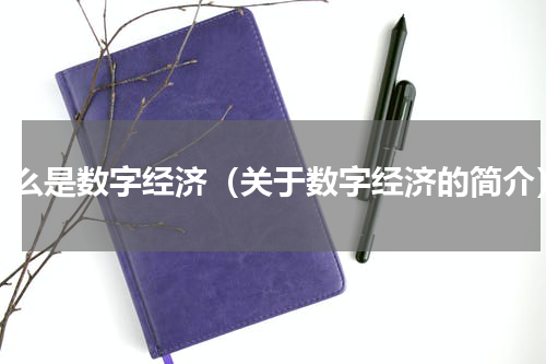 什么是数字经济（关于数字经济的简介）